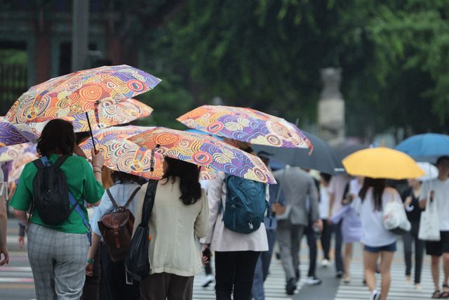 여름, 비<YONHAP NO-2658>