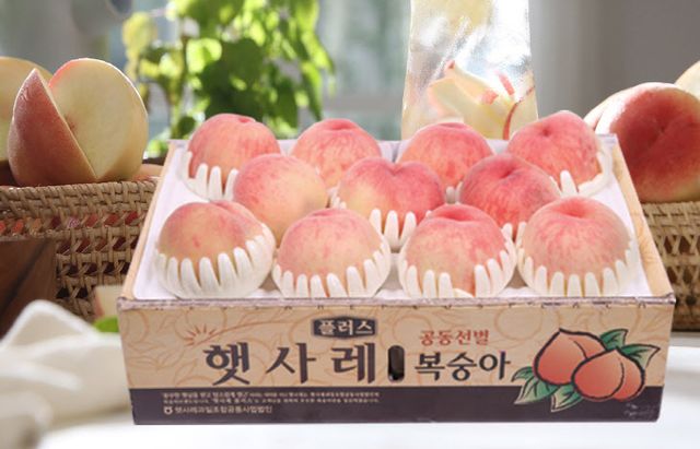 공영홈쇼핑, 농협 창립62주년 특집전