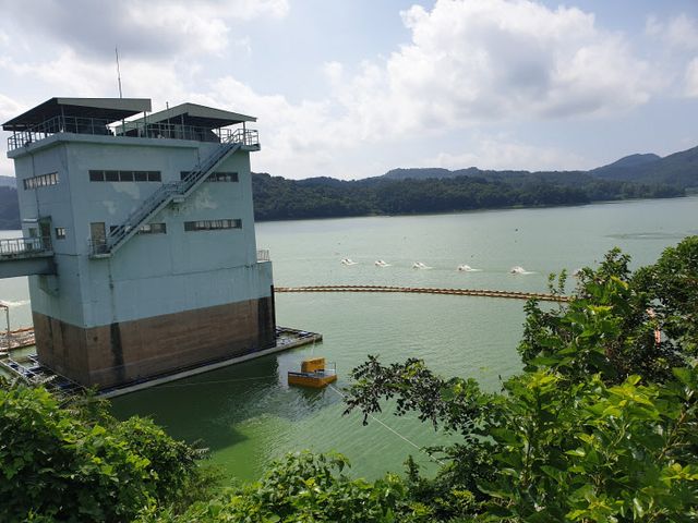 13-1 청주시, 대청호 문의수역 녹조대응 냄새 예방