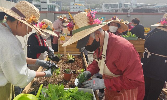 ‘기억이 움트는 옥상 텃밭’ 운영
