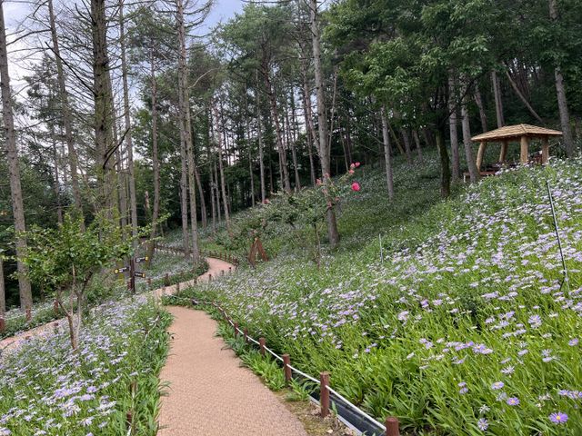 경북 성주군 “숲에서 힐링하세요”… 산림휴양시설 방문객 발