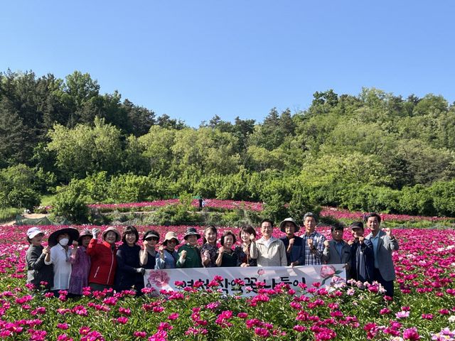 4 [사진] 영천시, 작약꽃나들이 행사장 방문(2)