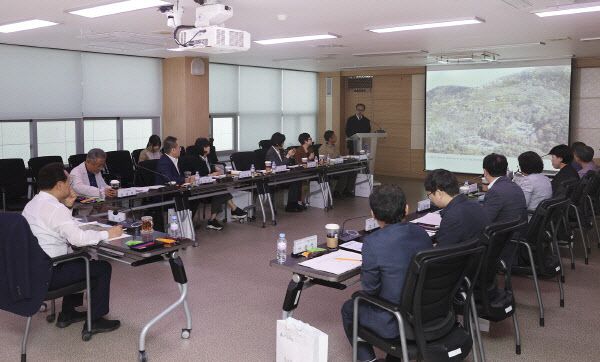 무등산 춘설차밭