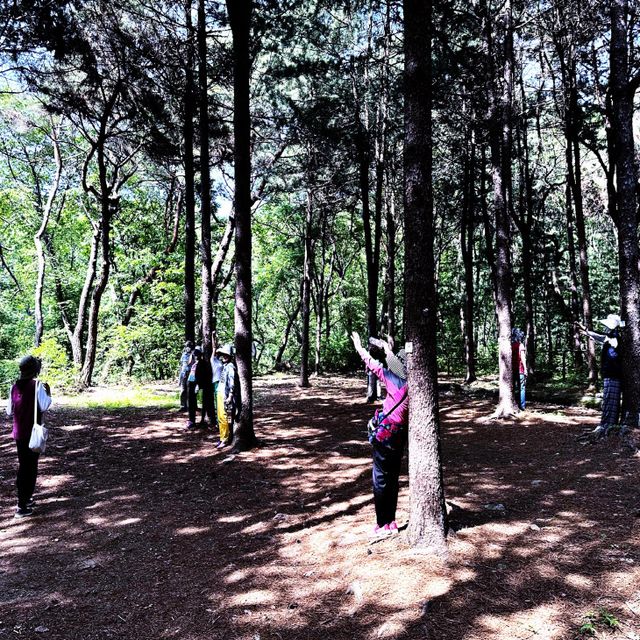 과천시 치매안심센터 ‘서울대공원 치유의 숲’ 나들이