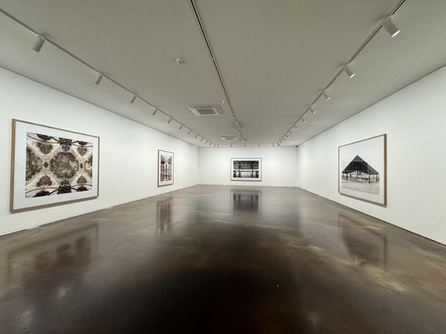 칸디다 회퍼 개인전 '르네상스' 전경(사진=허미선 기자)