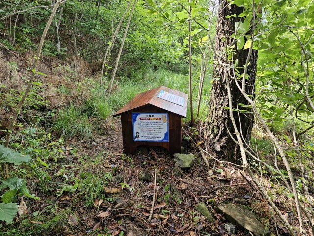 거제시 길고양이 공공급식소 시범운영