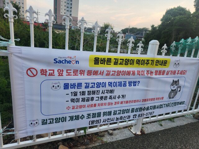 올바른 길고양이 먹이주기 캠페인