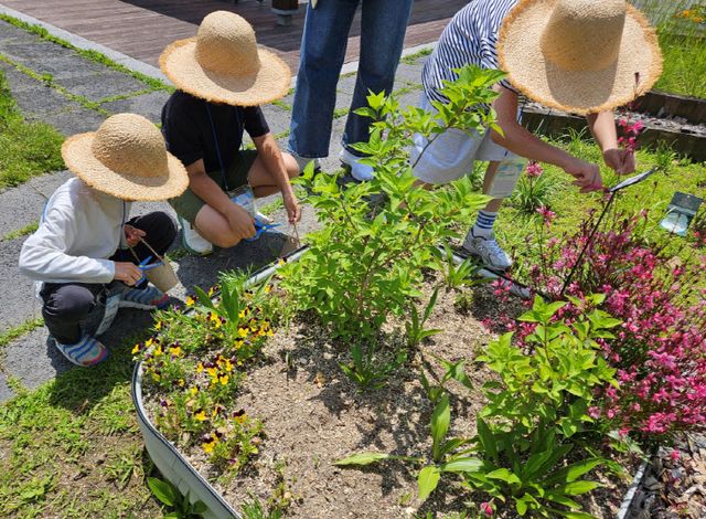 인천시교육청 초등학생 가족 대상 아토피 건강