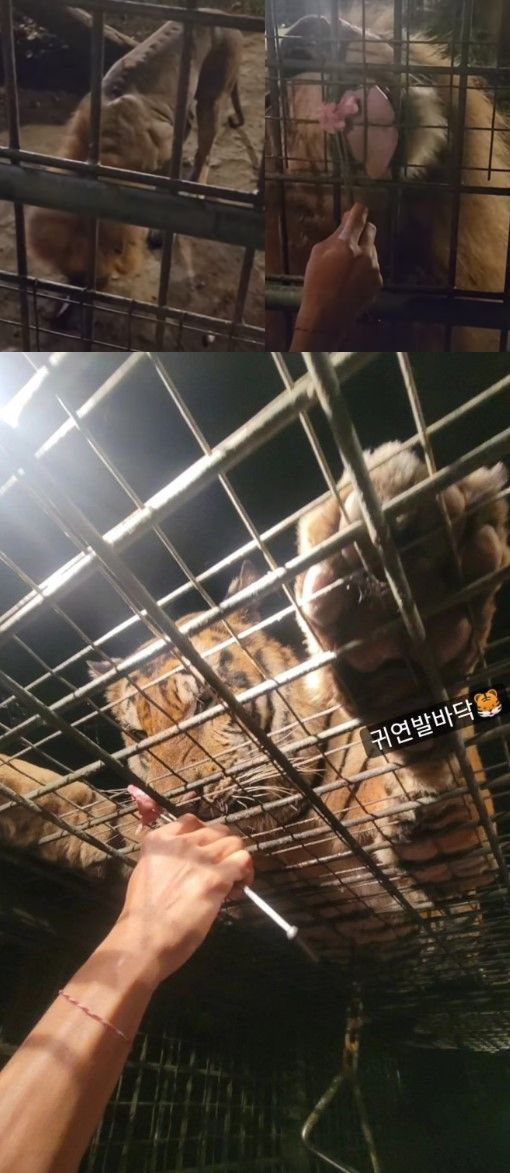 사진=황정음 인스타그램