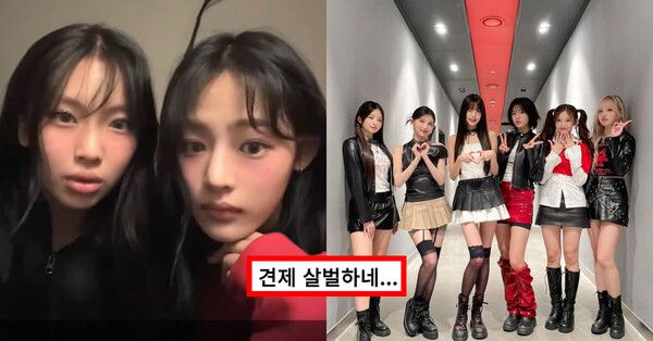 &nbsp;사진=포닝, 아이브 SNS