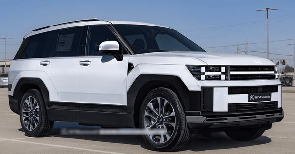 사진=뉴욕 맘모스 인스타그램