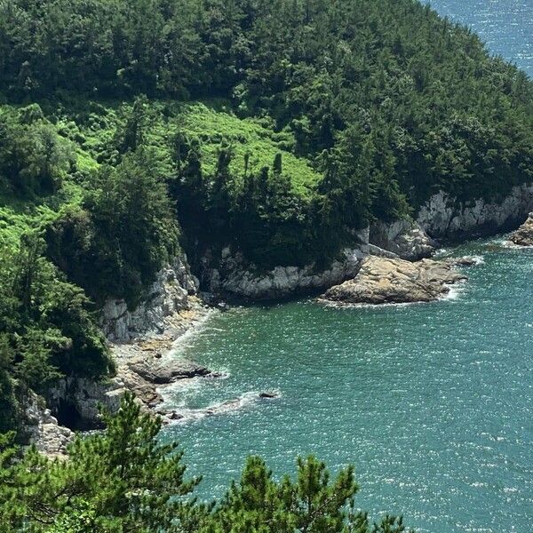 남해 설리 해수욕장 /사진=인스타그램 @sunjurii