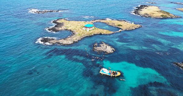 온라인 커뮤니티