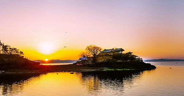 온라인 커뮤니티