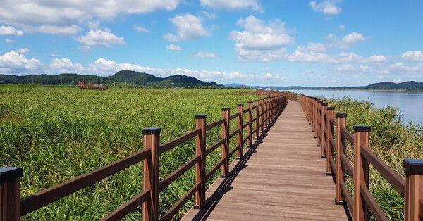 온라인 커뮤니티