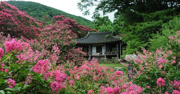 온라인 커뮤니티