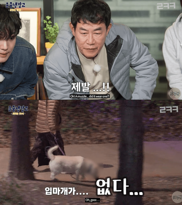 온라인 커뮤니티