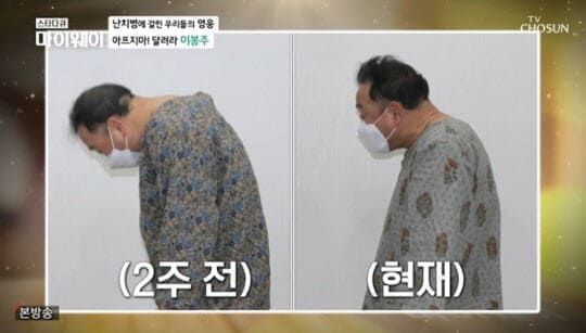 온라인 커뮤니티