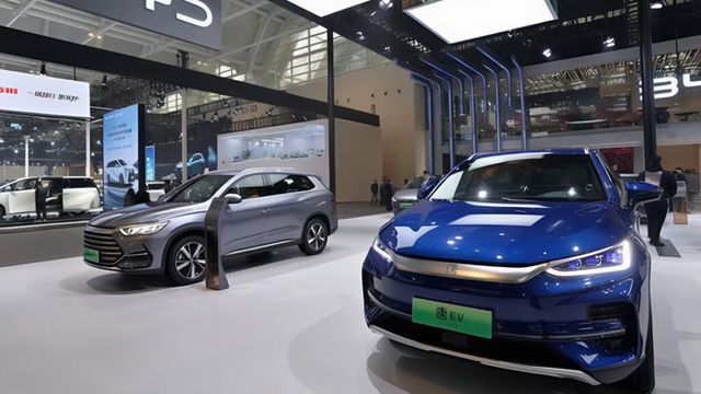 China EV bubble warning