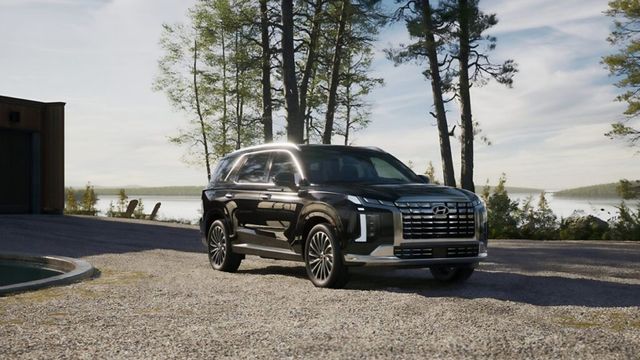 Palisade Class Action Lawsuit (4)