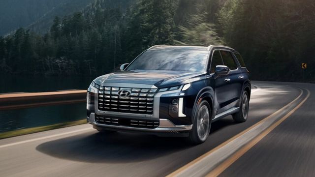 Palisade Class Action Lawsuit (2)