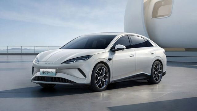 China EV bubble warning (2)