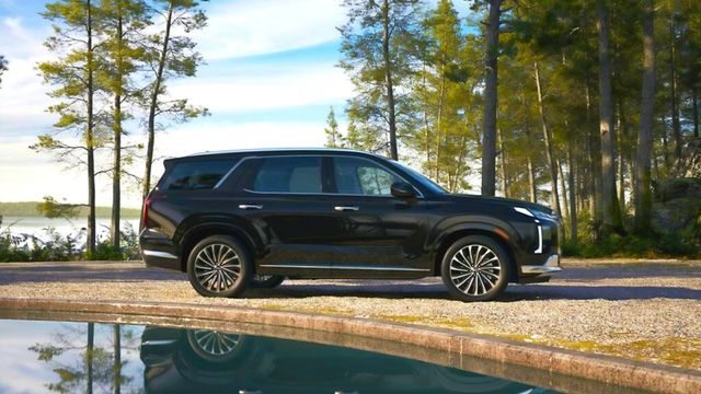 Palisade Class Action Lawsuit