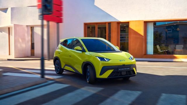 China EV bubble warning (4)