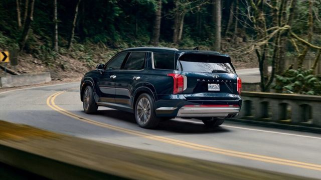 Palisade Class Action Lawsuit (5)