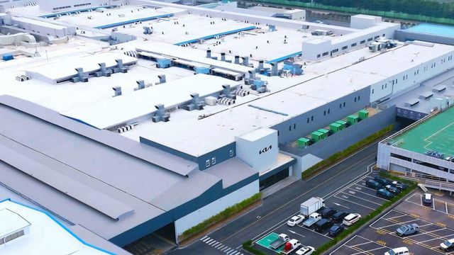 economic contribution (7)