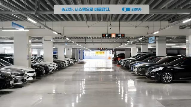 summer vacation SUV (2)