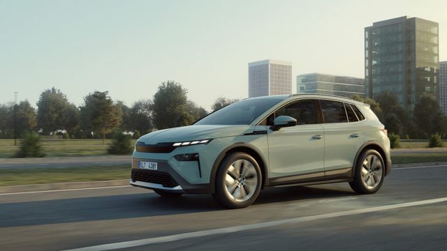 Volkswagen EV Share (6)