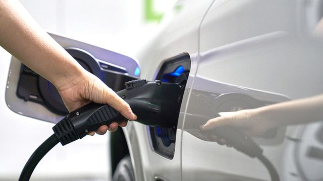 chinese-ev-market-share-korea-34-percent-byd-tesla (5)