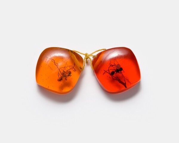 ▲ 단추 / 사진: 실학박물관 제공&nbsp;