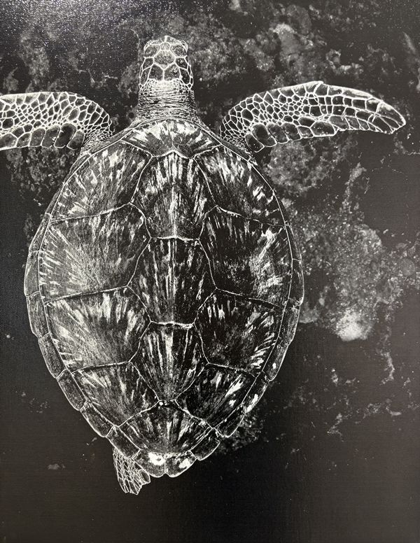 ▲ 무관심, 5DMIII. 8-15mm. 1/100. F9. ISO 800. 자연광, Print on canvas, 조은진(확대 부분) / 사진: 유정 제공