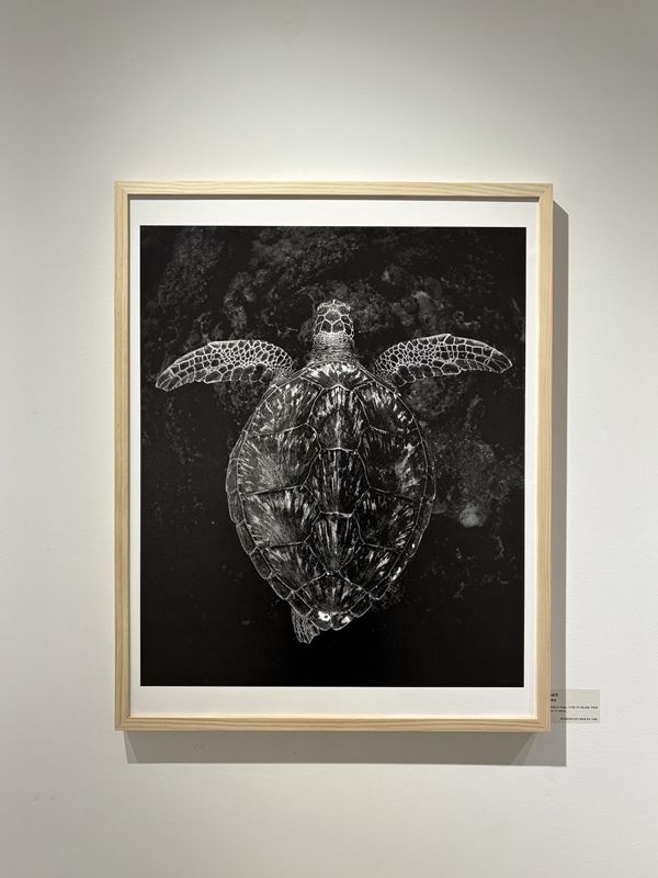 ▲ 무관심, 5DMIII. 8-15mm. 1/100. F9. ISO 800. 자연광, Print on canvas, 조은진 / 사진: 유정 제공