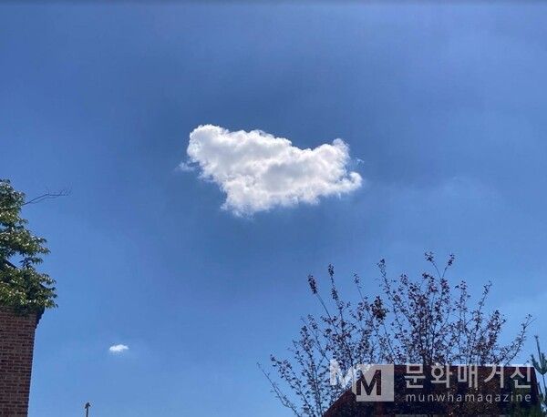 ▲ 사진: MIA 제공