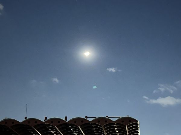 ▲ 산책 길에 촬영한 모습 / 사진: 구씨 제공