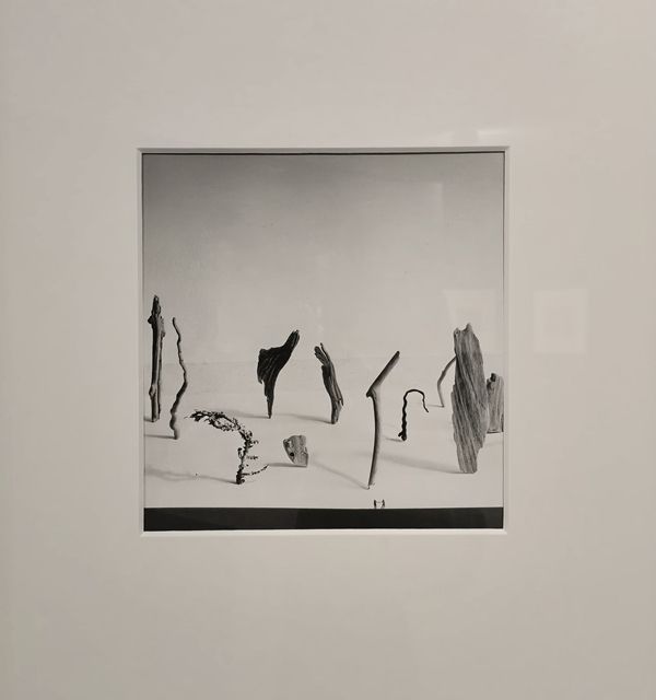 ▲ 모래언덕 시리즈, 우에다 쇼지 모래극장 중 / 사진: 윤건호 제공