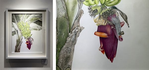 ▲ 바나나, 종이에 색연필, 480 x 610cm, 원효주 | 대상작(좌)바나나, 종이에 색연필, 480 x 610cm, 원효주 | 대상작 일부확대 (우) / 사진: 유정 제공&nbsp;