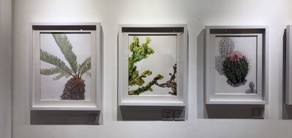 ▲ 제1회 IKBA보태니컬아트교육협회 공모전 수상작 전시 중 일부 / 사진: 유정 제공