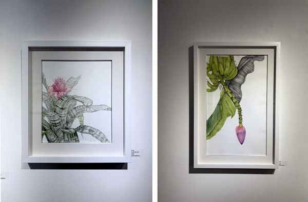 ▲ 제1회 IKBA보태니컬아트교육협회 공모전 수상작 전시 중 일부 / 사진: 유정 제공