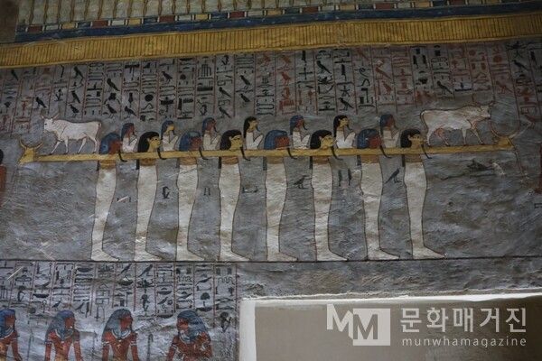룩소르 왕가의 계곡 람세스 1세의 무덤(KV 16). 긴 행렬 속 인물들은 모두 같은 크기와 비율로 서 있고, 발과 얼굴은 옆을 향하지만 어깨는 정면으로 돌려져 있다. 인물은 개별 존재가 아니라 하나의 질서로 연결되어, ‘집단의 움직임’을 통해 세계의 조화를 표현한다. 색의 대비와 반복된 형태는 생명과 죽음, 인간과 신의 세계를 잇는 영원의 리듬을 보여준다 / 사진: 한민광 제공