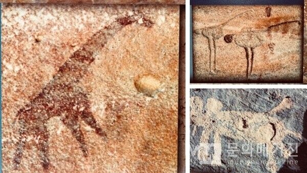 ▲ 와디 히탄 박물관에 전시된 이 벽화들은 선사시대 사람들이 남긴 동물들의 형상이다 / 사진: 한민광 제공