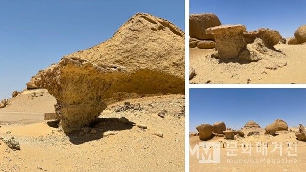 ▲ 바람과 시간의 조각이 만들어낸 바위들은 물고기의 머리, 코끼리의 발처럼 생명을 닮았다. 자연은 의도하지 않았지만, 그 무의식 속에서 예술의 형상을 빚어냈다. 와디 히탄의 바위들은 말없이 존재하면서도, 창조의 기억을 조용히 증언하고 있다 / 사진: 한민광 제공