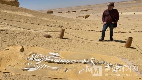 ▲ 한 남자가 사막 위에 드러난 고대 고래의 화석 앞에 조용히 서 있다. 수천만 년의 시간이 잠든 자리에서, 인간은 잠시 과거와 마주 선다 / 사진: 한민광 제공