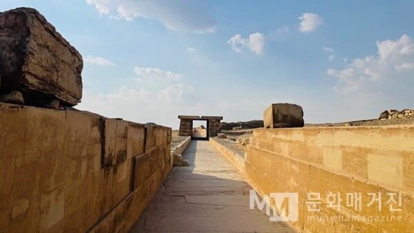 ▲ 사카라의 피라미드로 이어지는 돌길, 이른바 ‘왕의 길’이라 불리는 곳. 햇빛을 머금은 노란 돌길 위로, 고대의 행렬이 지나가던 발자국이 아직도 남아 있는 듯하다 / 사진: 한민광 제공