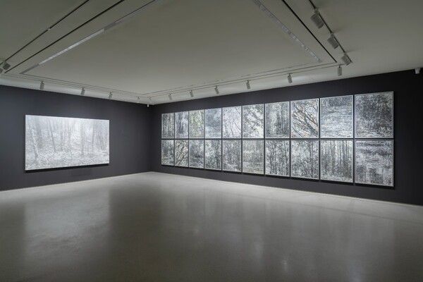 ▲ 전시 전경 / 사진: 리안갤러리 제공&nbsp;