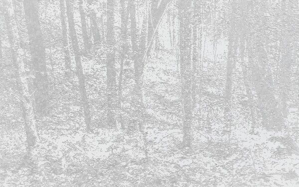 ▲ 신경철, T-HERE-WSP202402, 2024, Acrylic & Pencil on linen, 162.1x259.1cm / 사진: 리안갤러리 제공&nbsp;