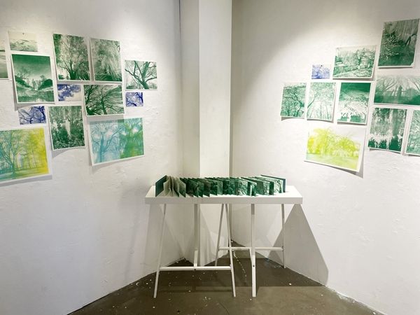 ▲ Trees Outside the Room 전시 모습 / 사진: 김연정 제공